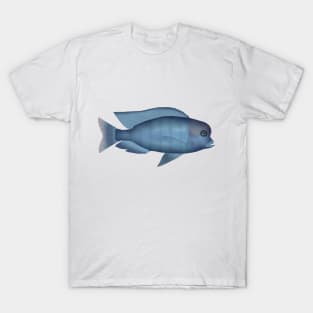 Blue Dolphin T-Shirt